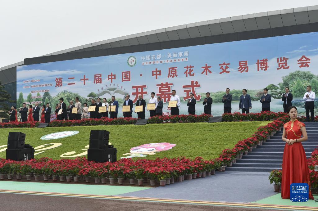 最新赌博技巧